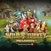 Pavo Salvaje Megaways thumbnail